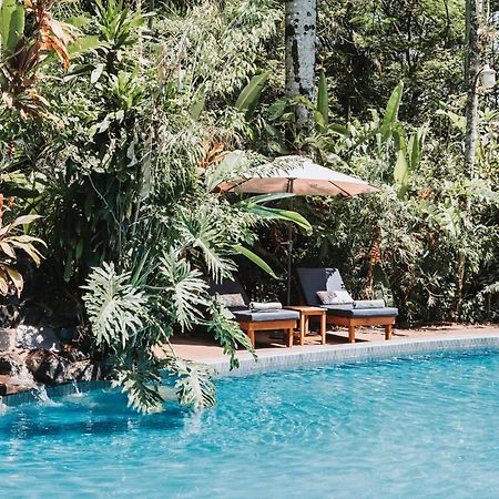 Overo Lodge & Selva ปูแอร์โตอีกวาซู ภายนอก รูปภาพ